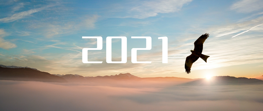 乘“峰”而上，智“盈”未来 ——2021年333体育环境高级资深副总裁新年开工动员